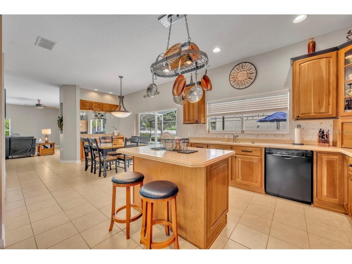 9809 Osprey Landing Drive Orlando FL 32832 O6340898 image9