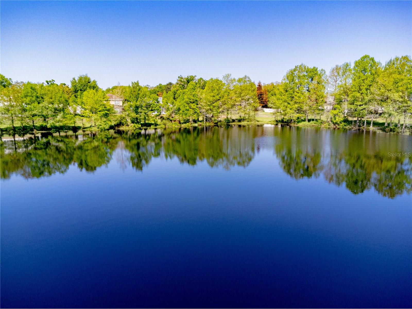 981 N Lake Claire Circle Oviedo FL 32765 O6386476 image3