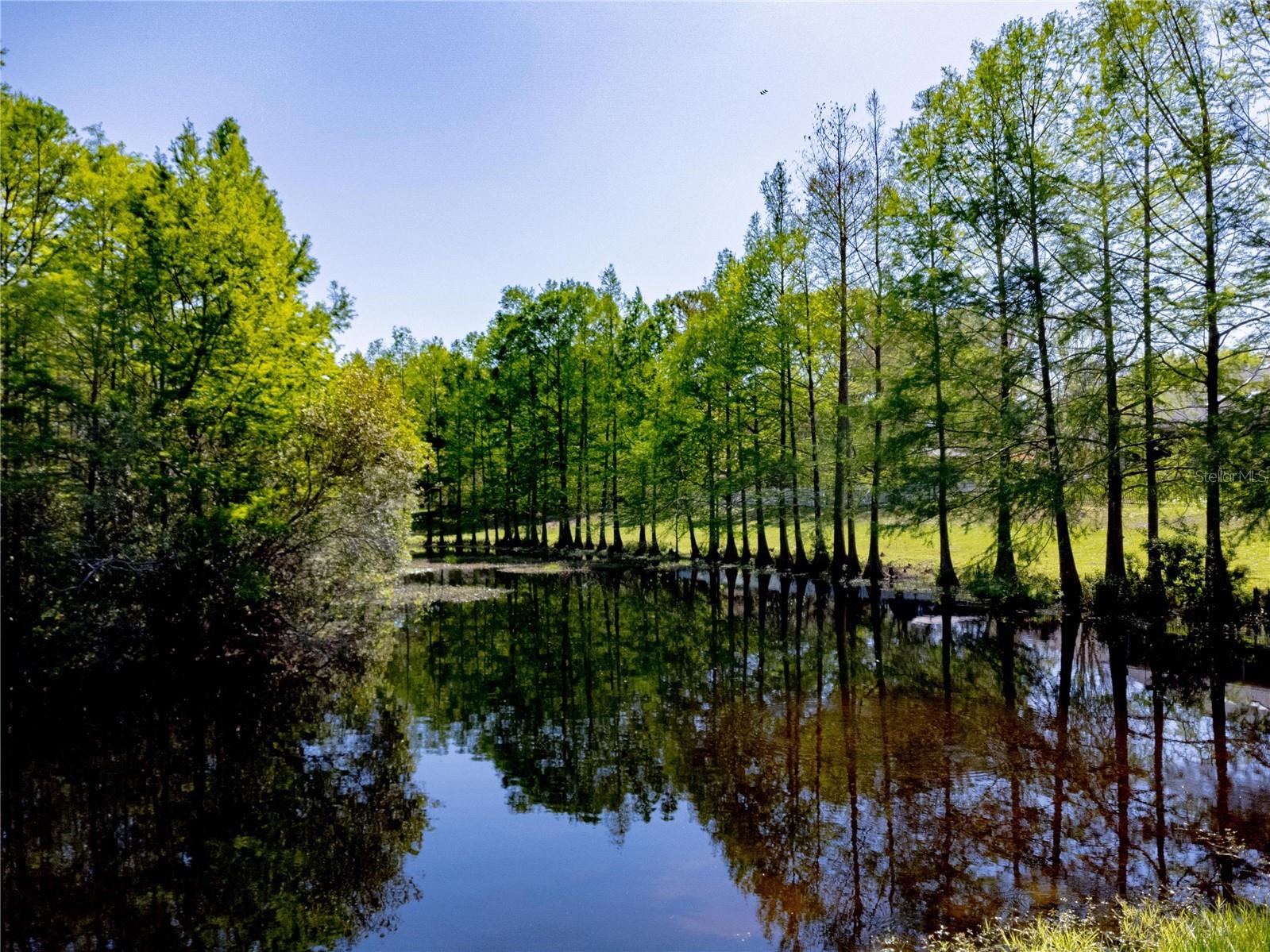 981 N Lake Claire Circle Oviedo FL 32765 O6386476 image46