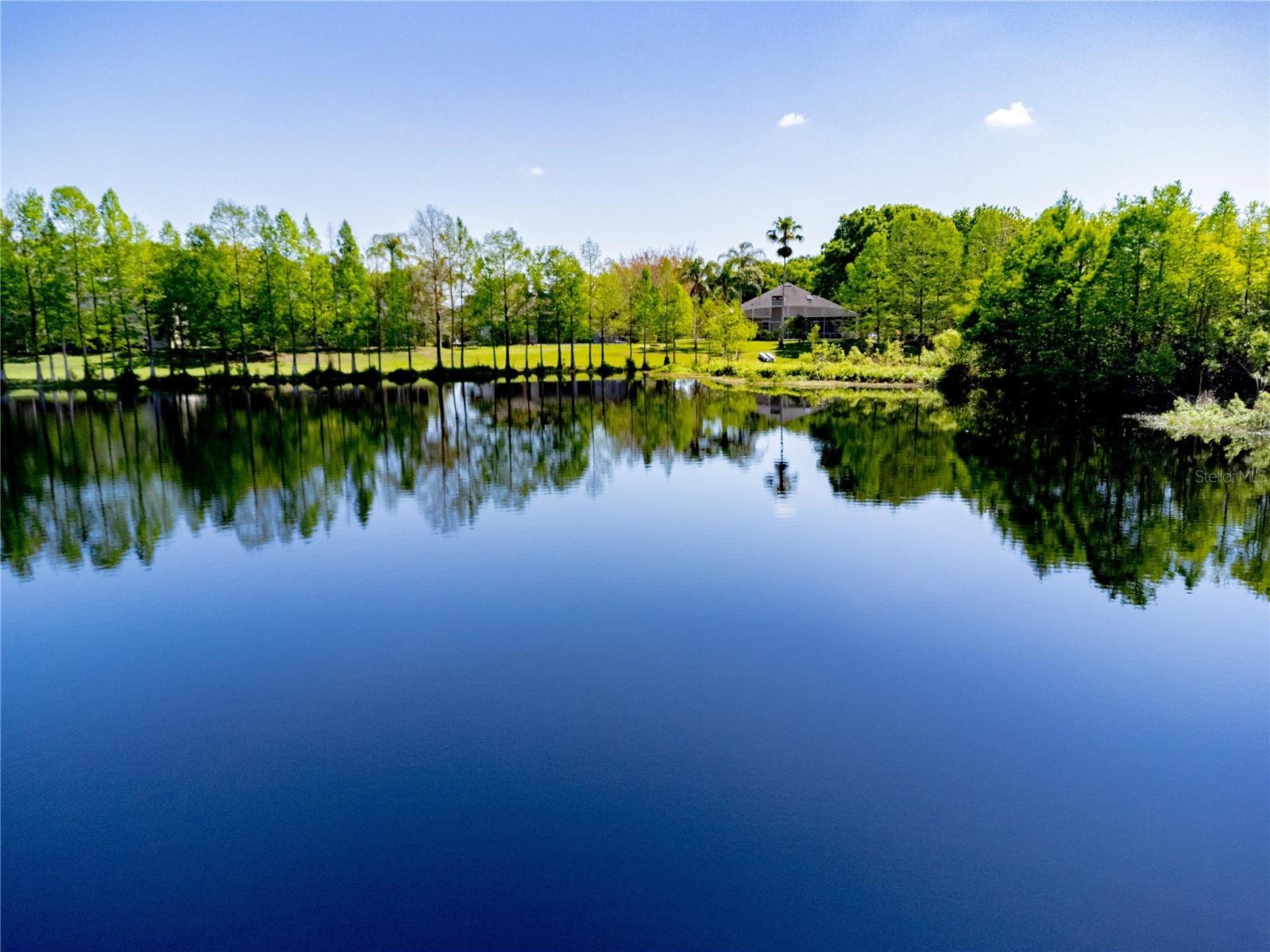 981 N Lake Claire Circle Oviedo FL 32765 O6386476 image47