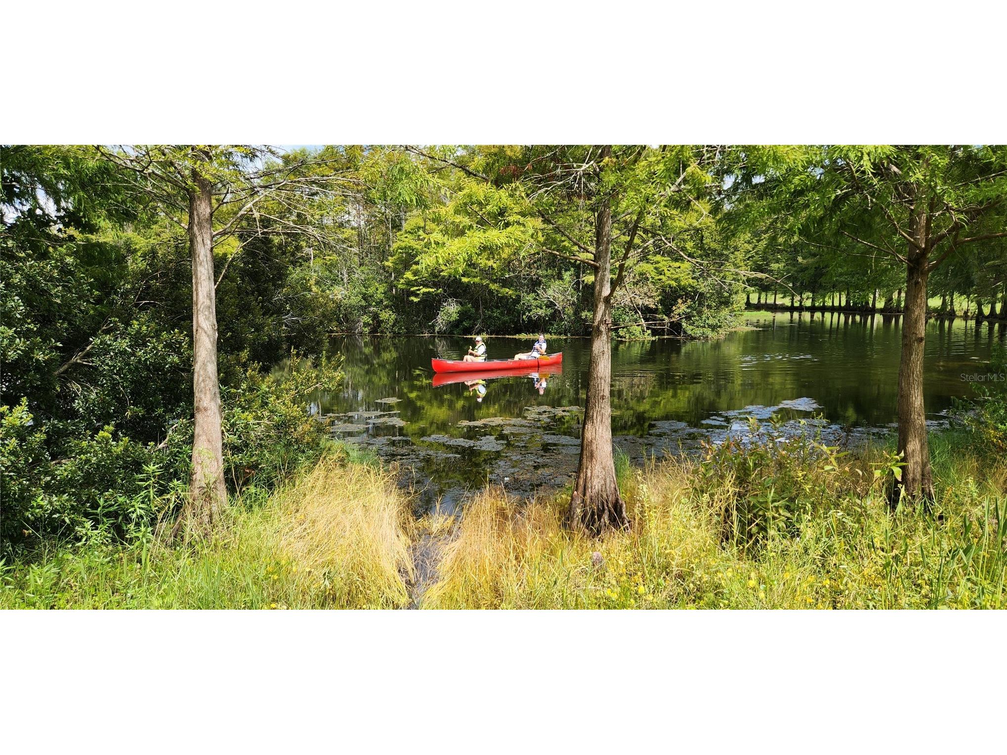 981 N Lake Claire Circle Oviedo FL 32765 O6386476 image61