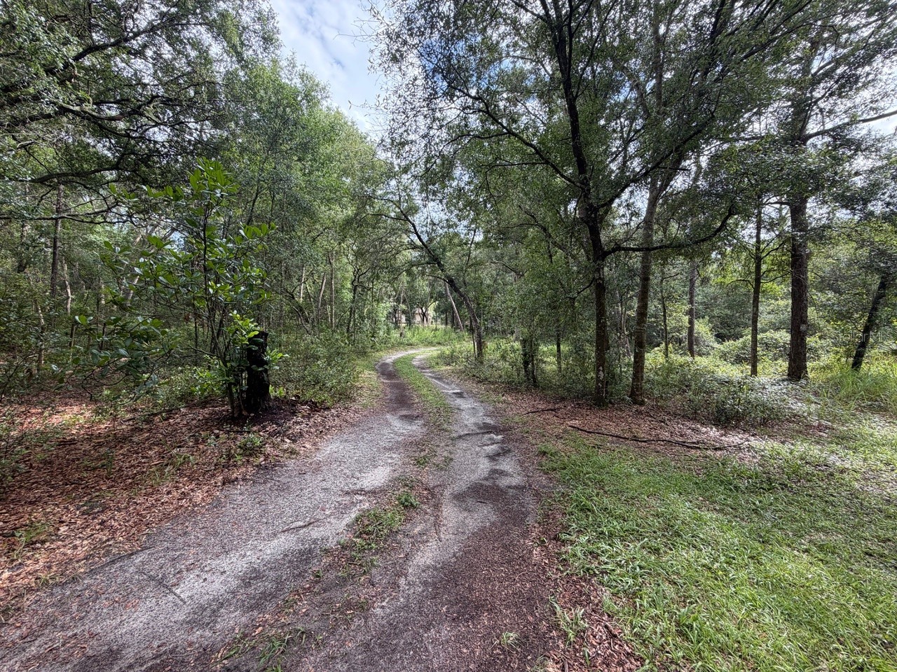 981 Sevilla Avenue Lake Helen FL 32744 O6421064 image3