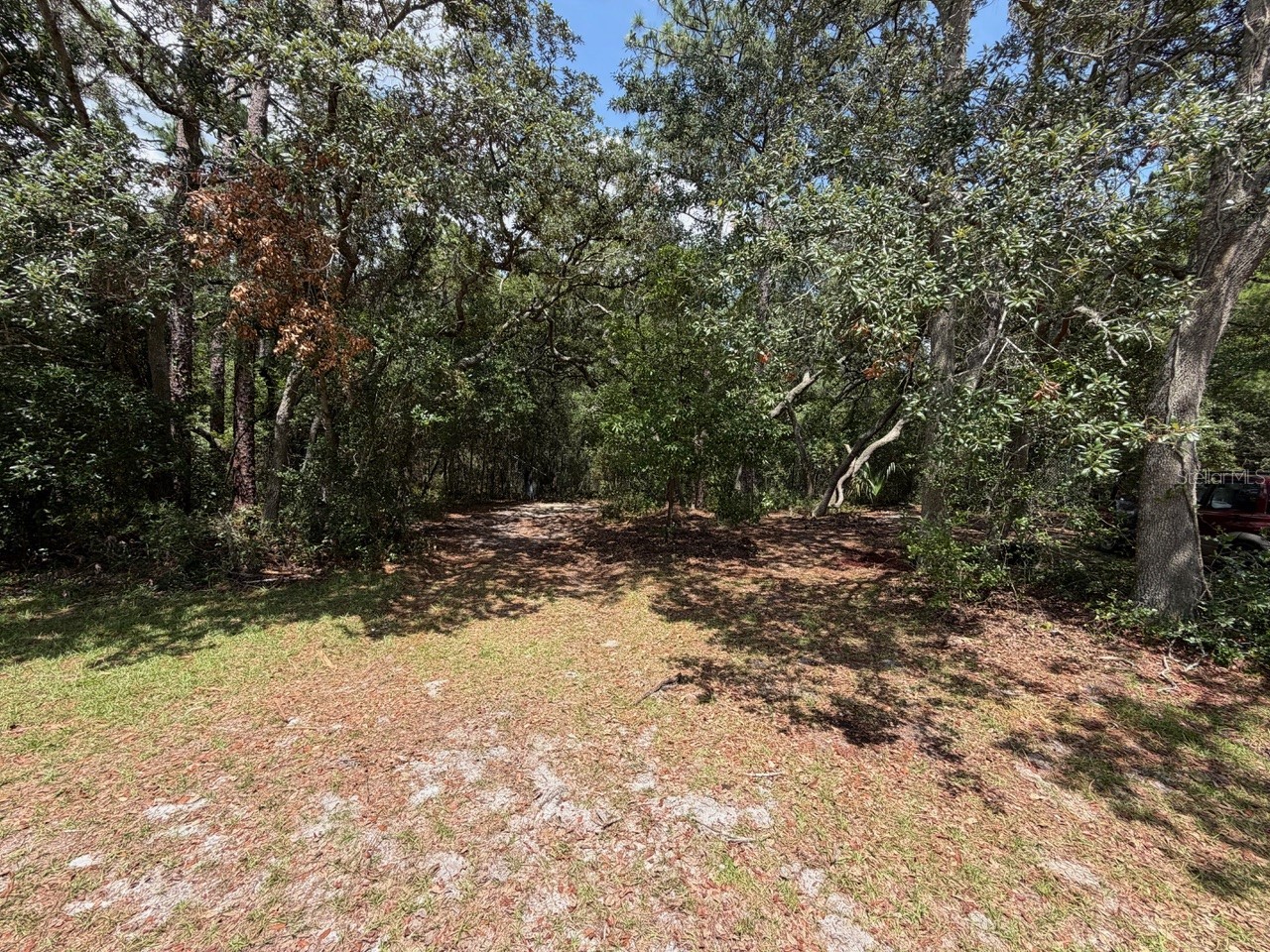 981 Sevilla Avenue Lake Helen FL 32744 O6421064 image4