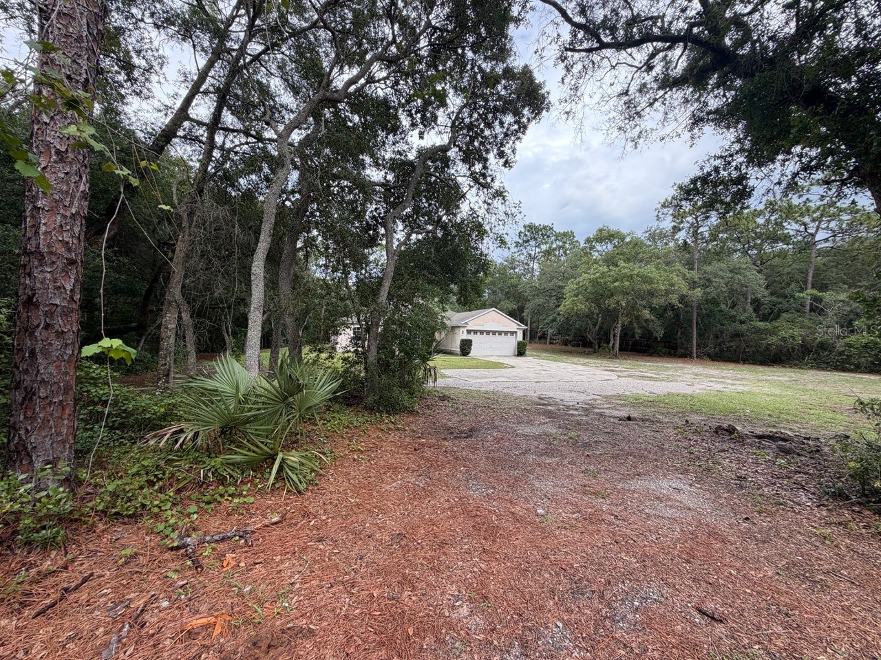 981 Sevilla Avenue Lake Helen FL 32744 O6421064 image5