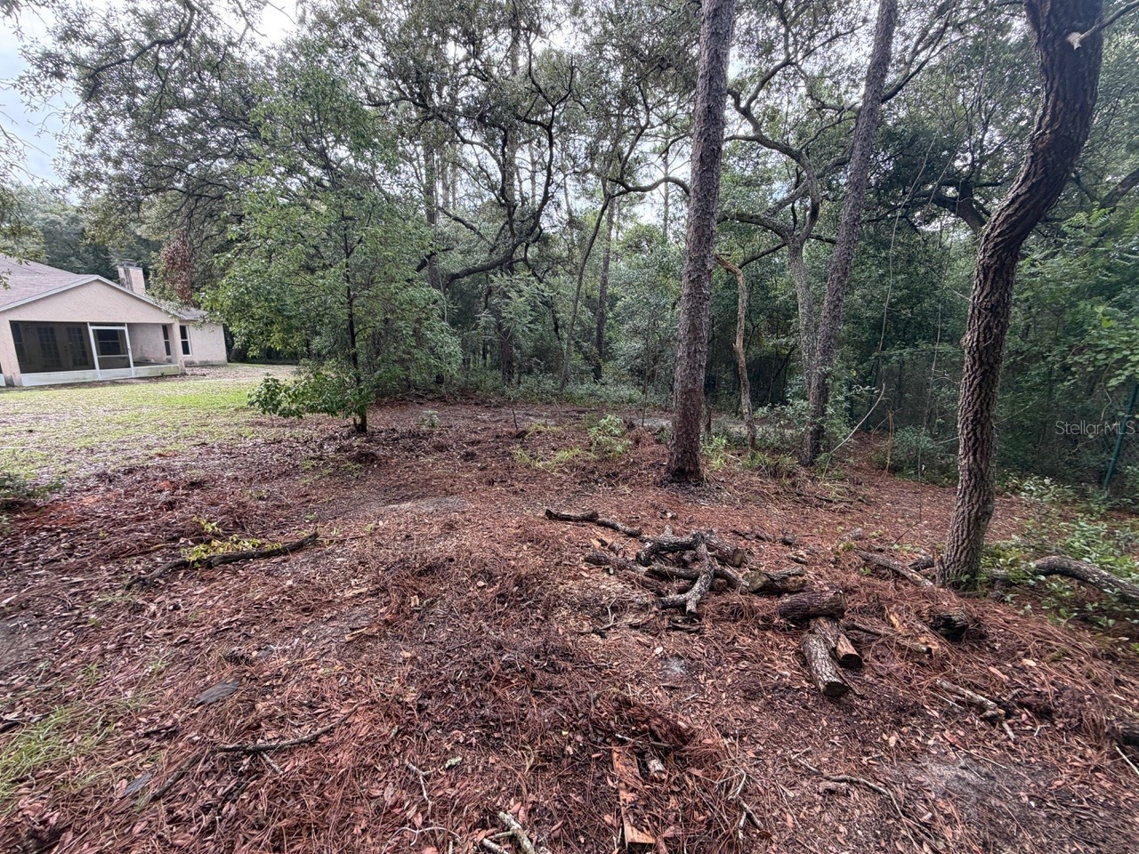 981 Sevilla Avenue Lake Helen FL 32744 O6421064 image7