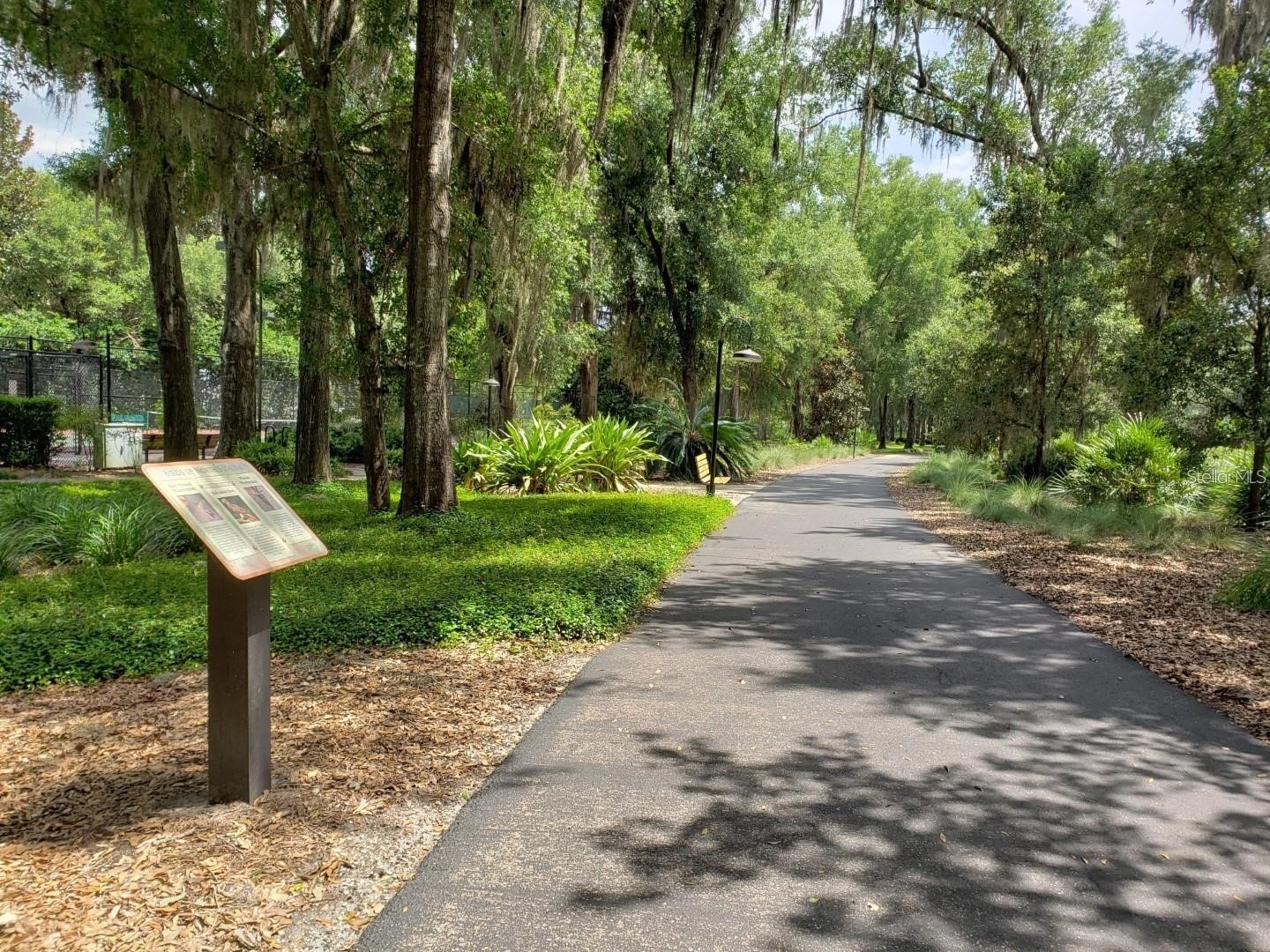 981 Sw 137th Way Newberry FL 32669 G5111028 image54