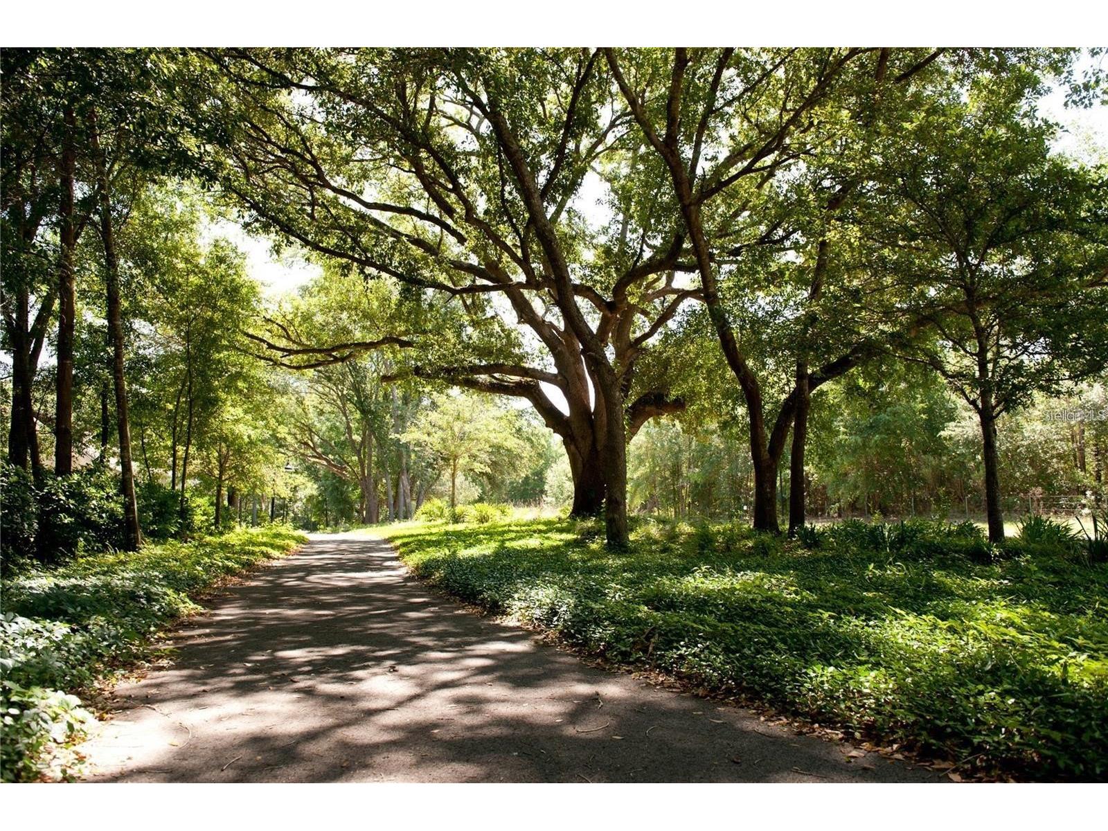 981 Sw 137th Way Newberry FL 32669 G5111028 image55
