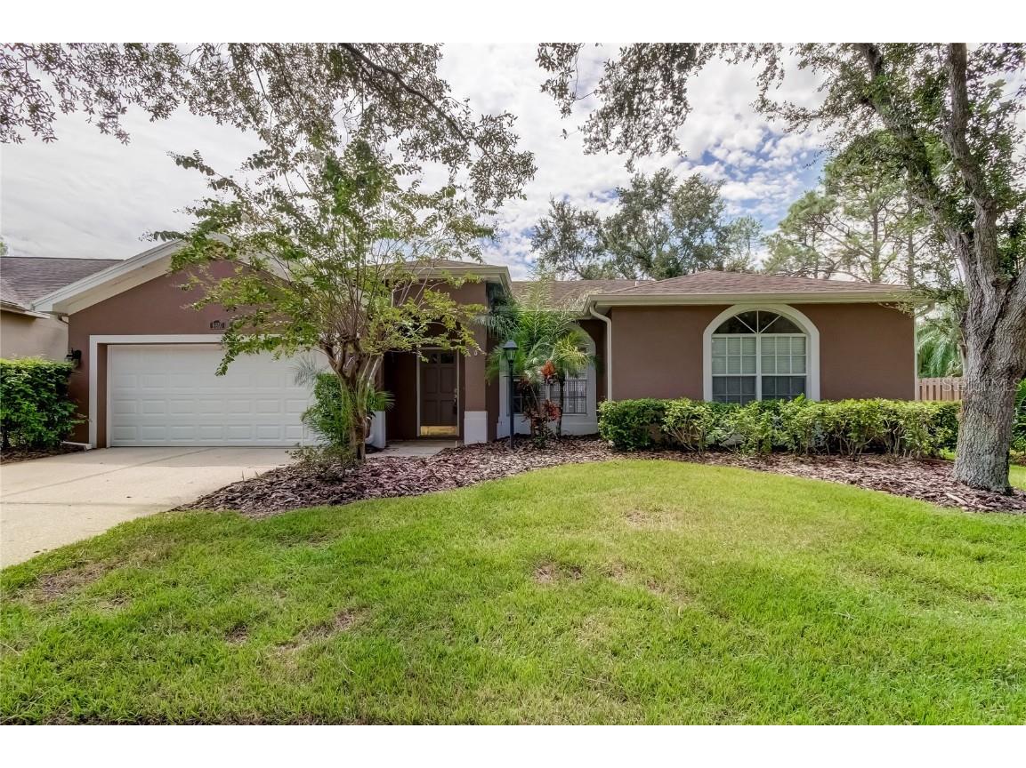 9810 Bennington Drive Tampa FL 33626 T3470498 image1