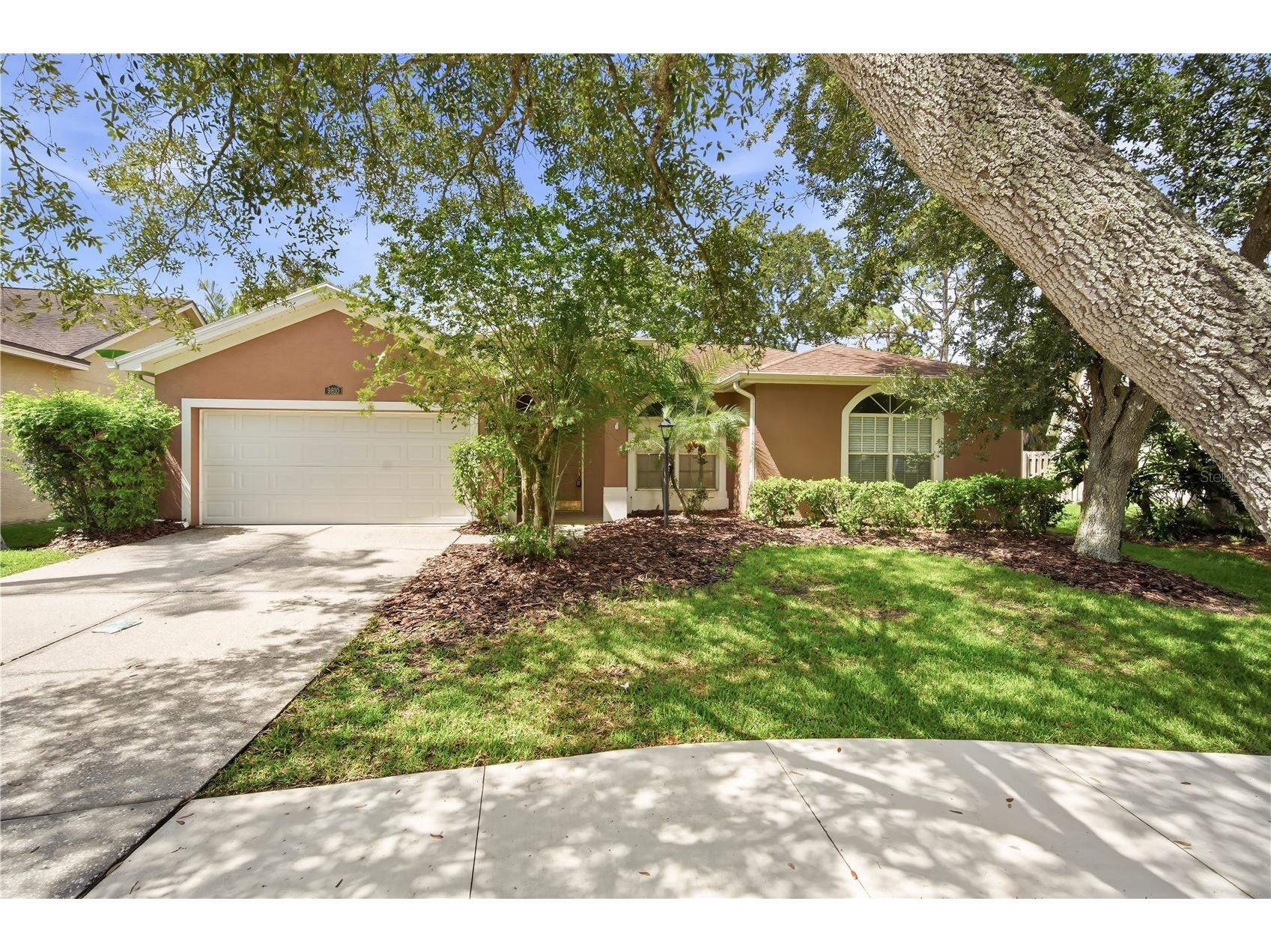 9810 Bennington Drive Tampa FL 33626 TB8526837 image1
