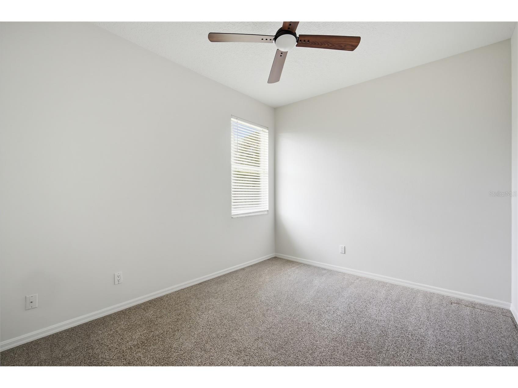 9810 Bennington Drive Tampa FL 33626 TB8526837 image17