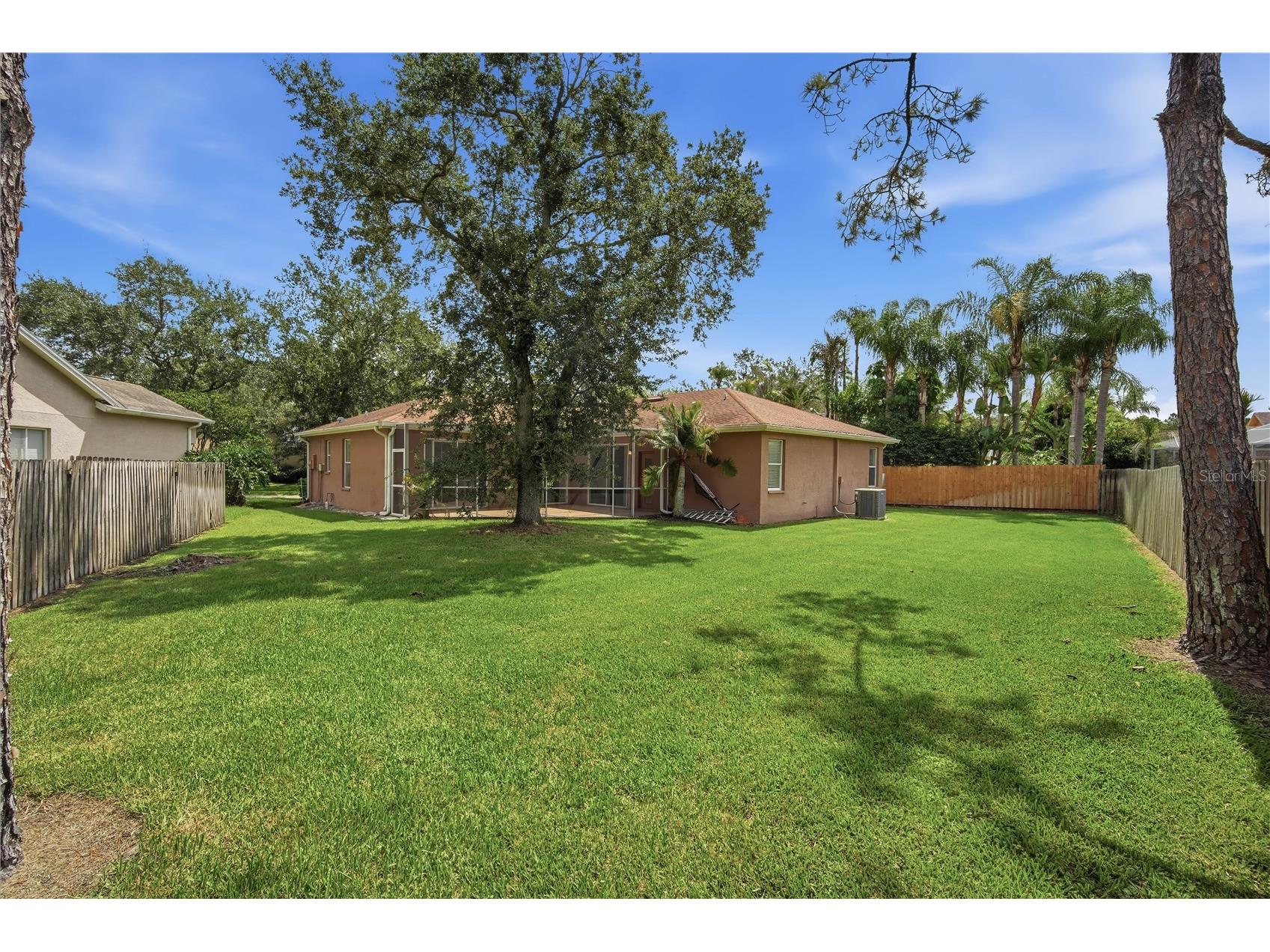 9810 Bennington Drive Tampa FL 33626 TB8526837 image22