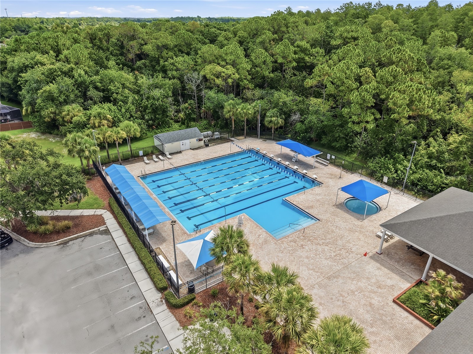 9810 Bennington Drive Tampa FL 33626 TB8526837 image27
