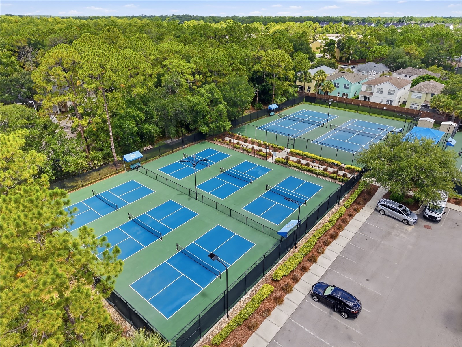 9810 Bennington Drive Tampa FL 33626 TB8526837 image28
