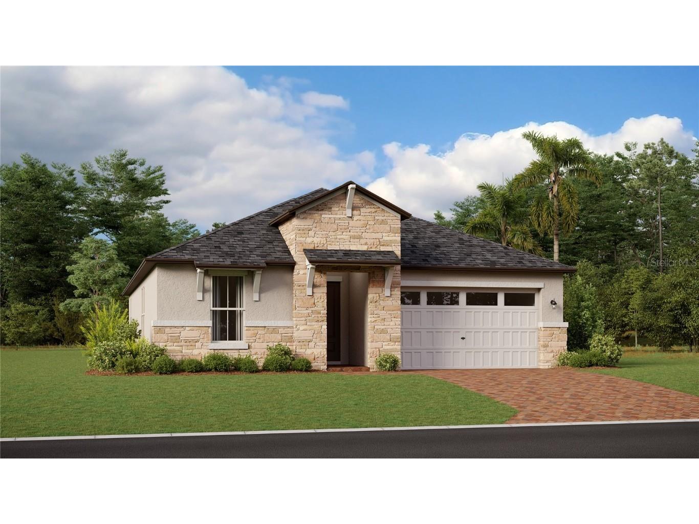 9810 Carabiner Way Land O Lakes FL 34637 T3458459 image1