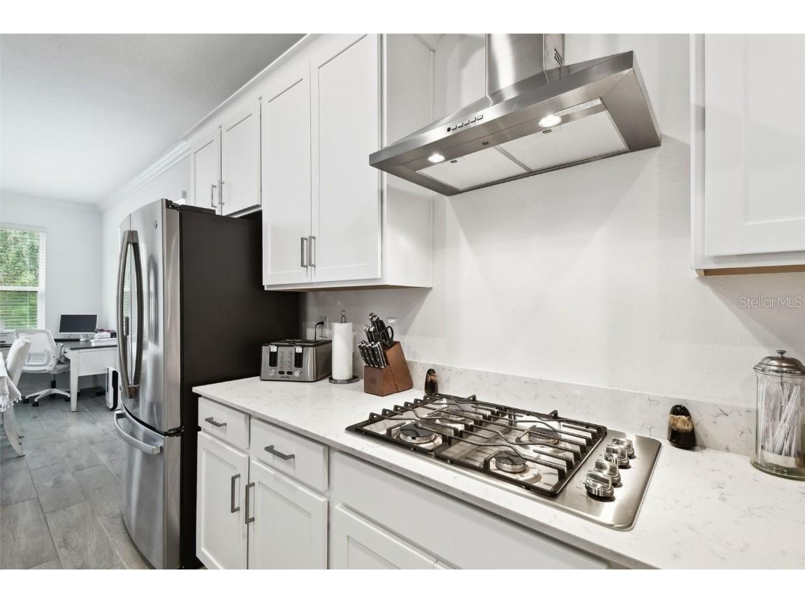 9810 Carabiner Way Land O Lakes FL 34637 TB8403756 image20