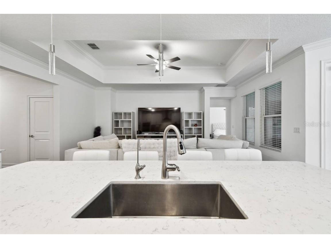 9810 Carabiner Way Land O Lakes FL 34637 TB8403756 image21