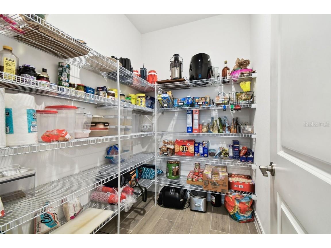 9810 Carabiner Way Land O Lakes FL 34637 TB8403756 image25