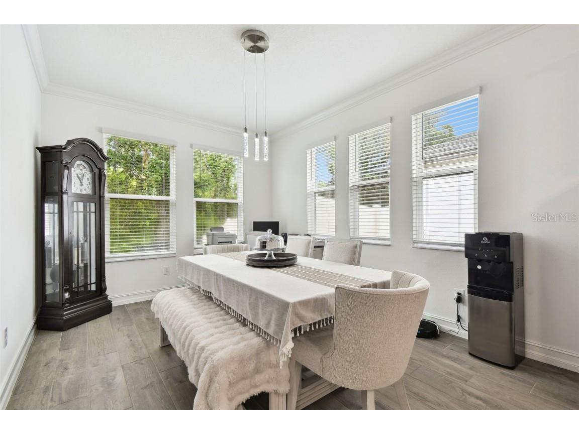 9810 Carabiner Way Land O Lakes FL 34637 TB8403756 image27