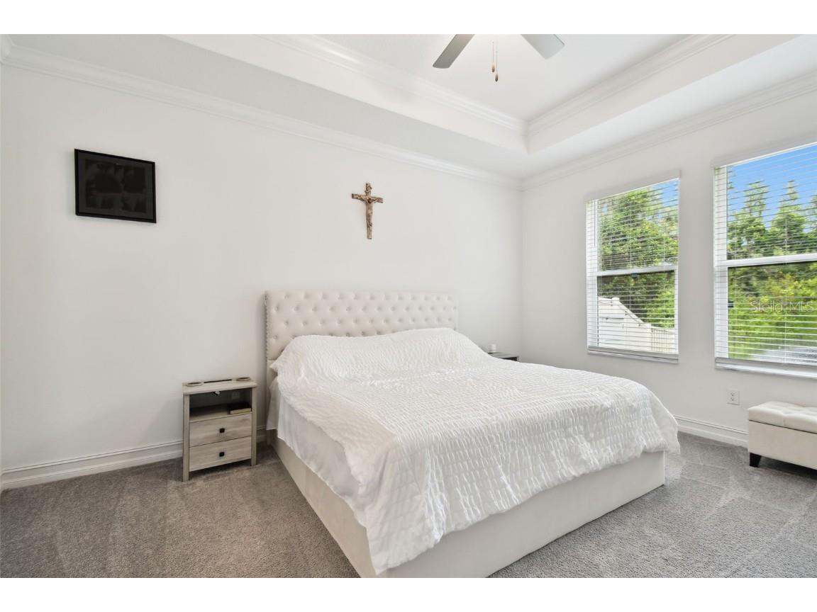 9810 Carabiner Way Land O Lakes FL 34637 TB8403756 image33