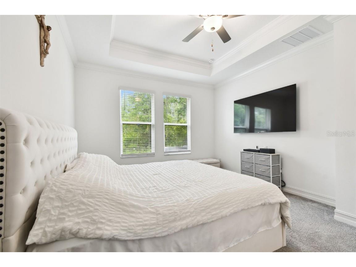 9810 Carabiner Way Land O Lakes FL 34637 TB8403756 image34