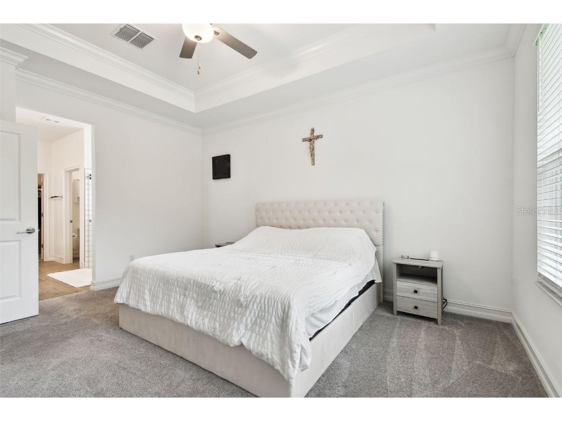 9810 Carabiner Way Land O Lakes FL 34637 TB8403756 image35