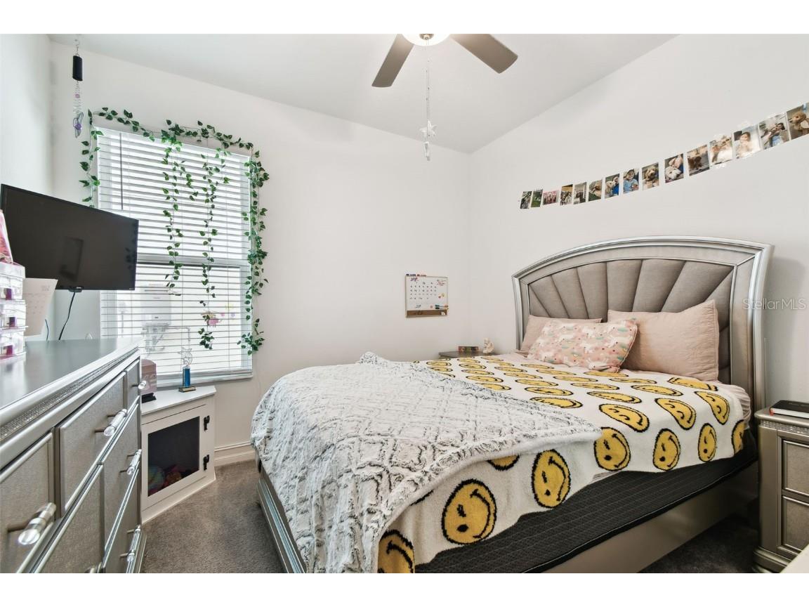 9810 Carabiner Way Land O Lakes FL 34637 TB8403756 image52