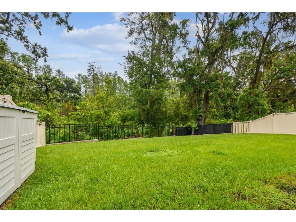 9810 Carabiner Way Land O Lakes FL 34637 TB8403756 image60