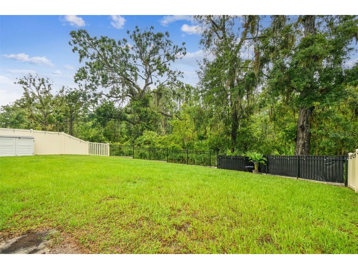 9810 Carabiner Way Land O Lakes FL 34637 TB8403756 image63