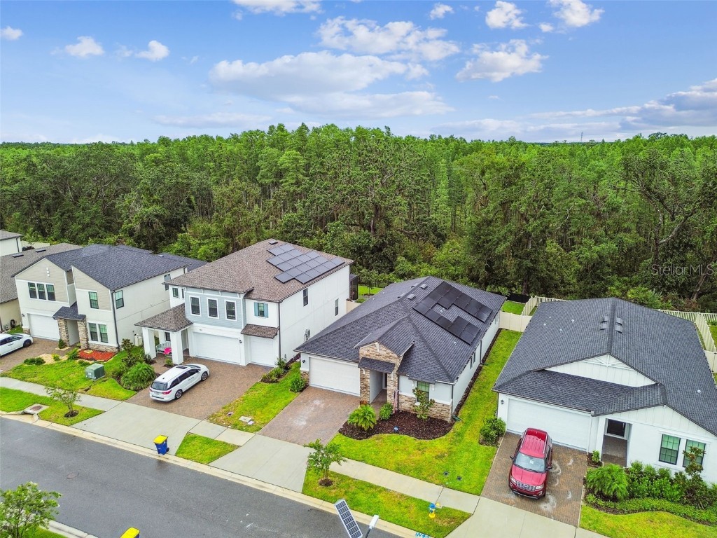 9810 Carabiner Way Land O Lakes FL 34637 TB8403756 image64