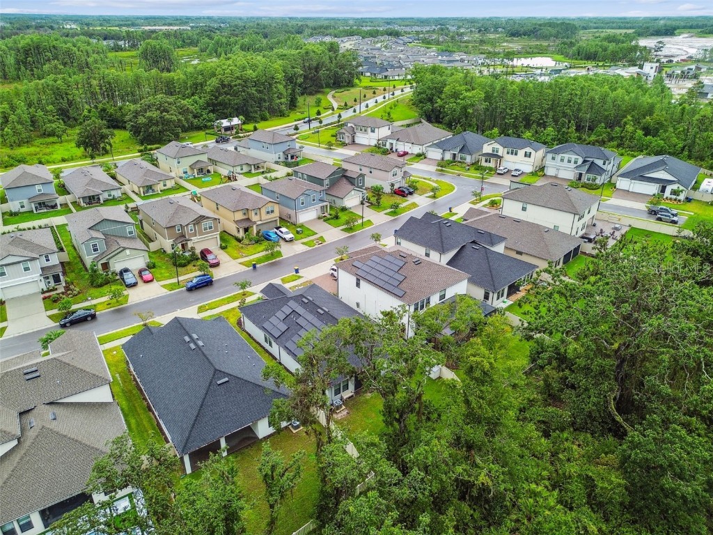 9810 Carabiner Way Land O Lakes FL 34637 TB8403756 image68