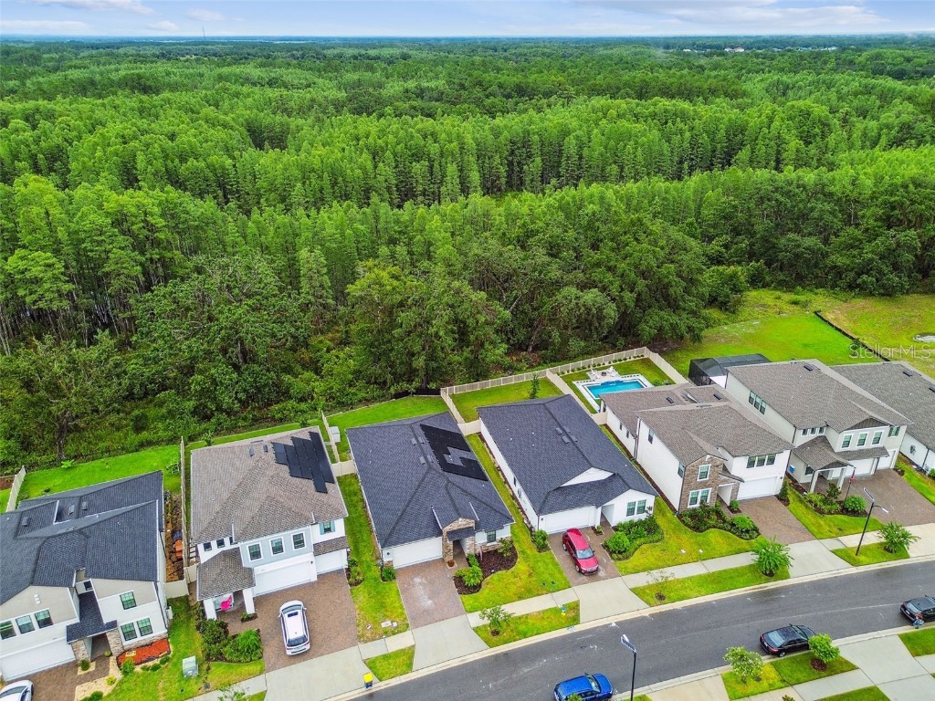 9810 Carabiner Way Land O Lakes FL 34637 TB8403756 image71