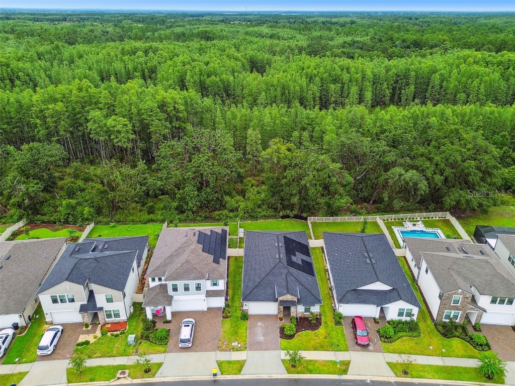 9810 Carabiner Way Land O Lakes FL 34637 TB8403756 image72