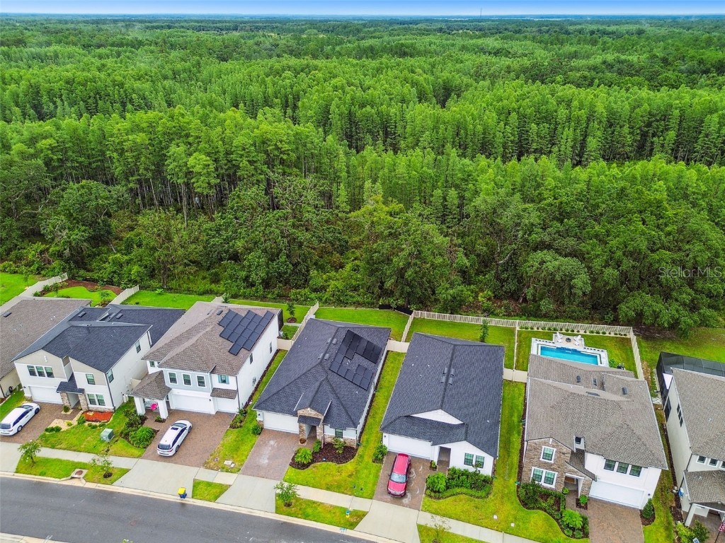 9810 Carabiner Way Land O Lakes FL 34637 TB8403756 image73