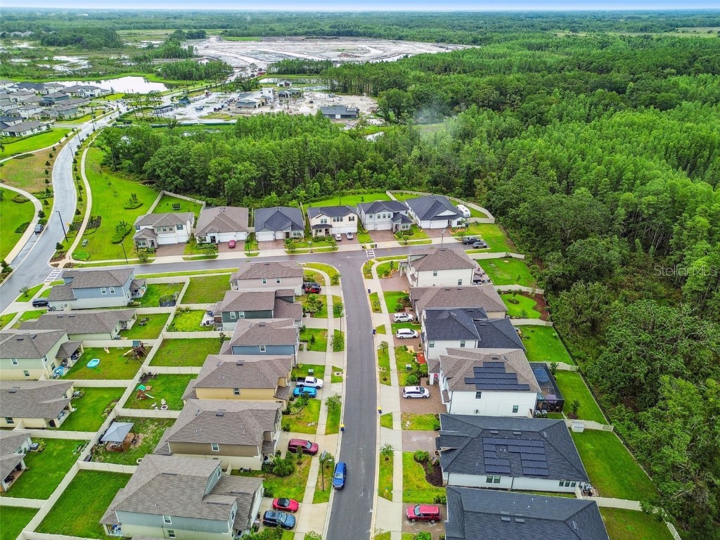 9810 Carabiner Way Land O Lakes FL 34637 TB8403756 image74