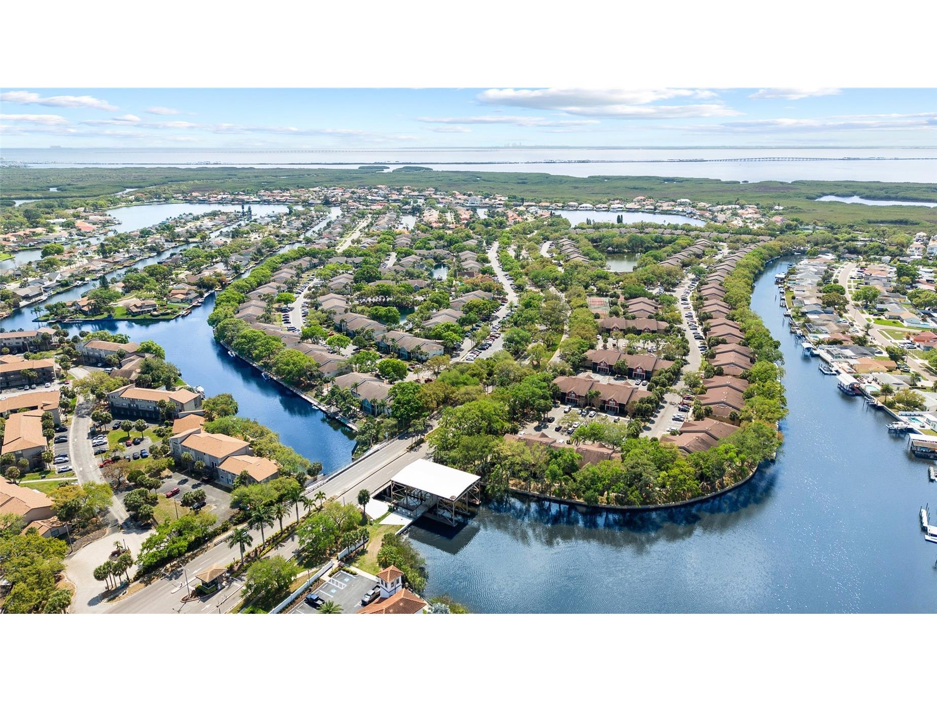 9810 Compass Point Way Tampa FL 33615 - LAKE SUNSET AND LAKE SUNRISE TB8484110 image81