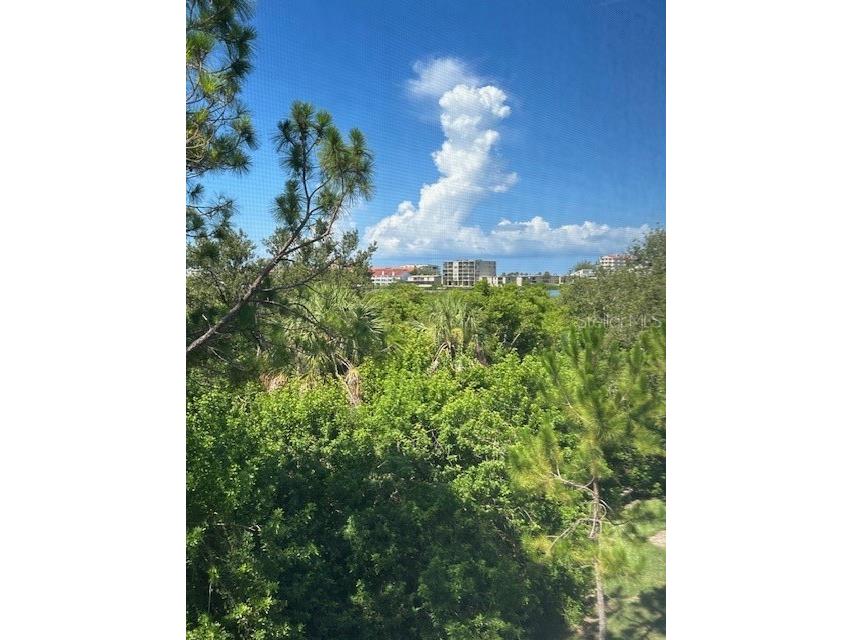 9810 Indian Key Trail #85 Seminole FL 33776 TB8405534 image37