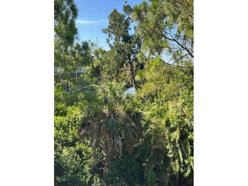 9810 Indian Key Trail #85 Seminole FL 33776 TB8405534 image38