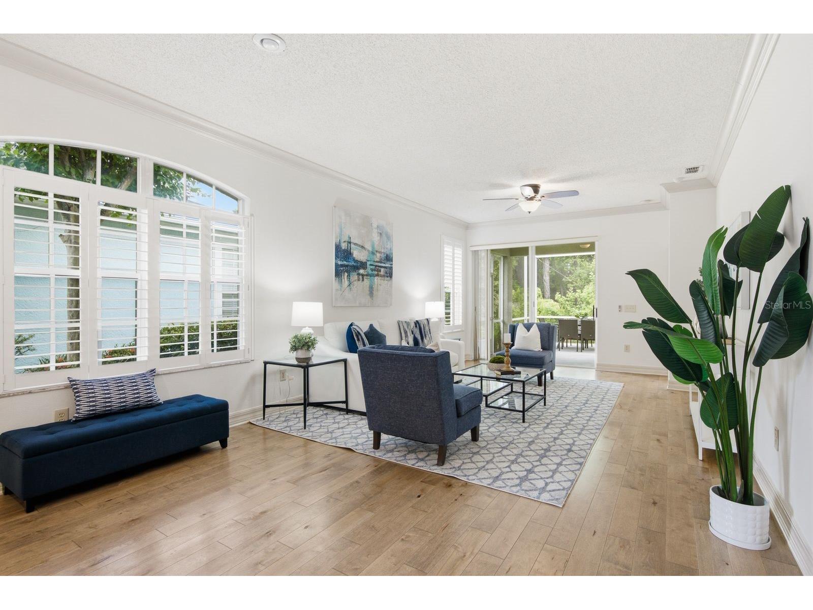 9811 Gingerwood Drive Tampa FL 33626 TB8516879 image10