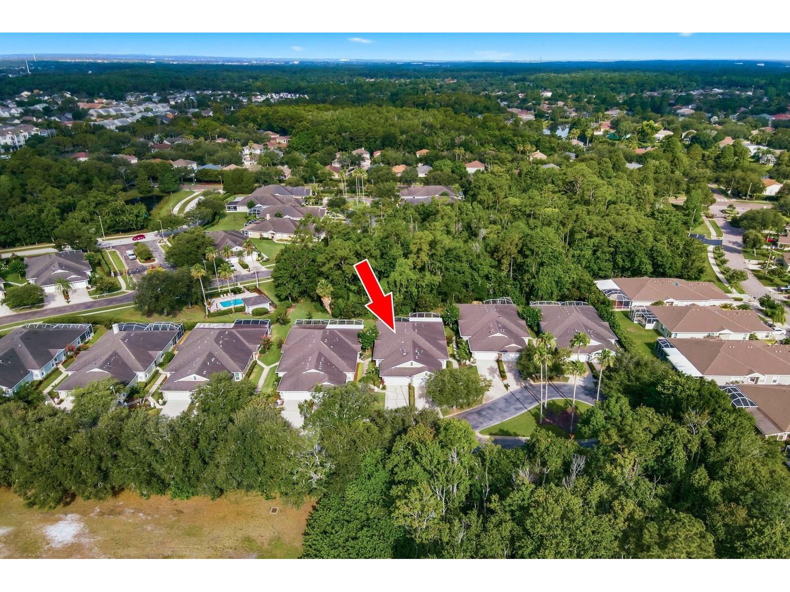 9811 Gingerwood Drive Tampa FL 33626 TB8516879 image2