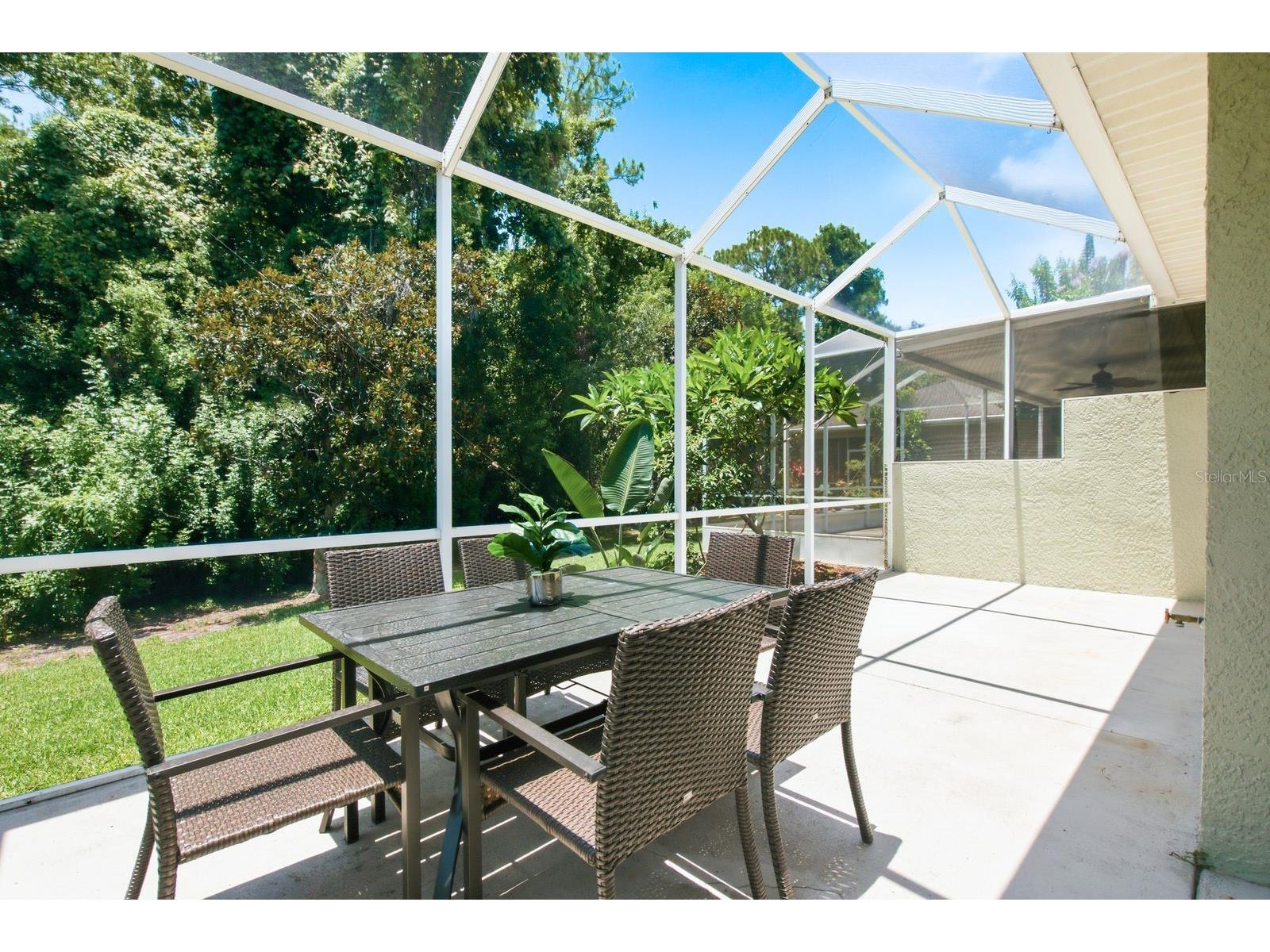 9811 Gingerwood Drive Tampa FL 33626 TB8516879 image32