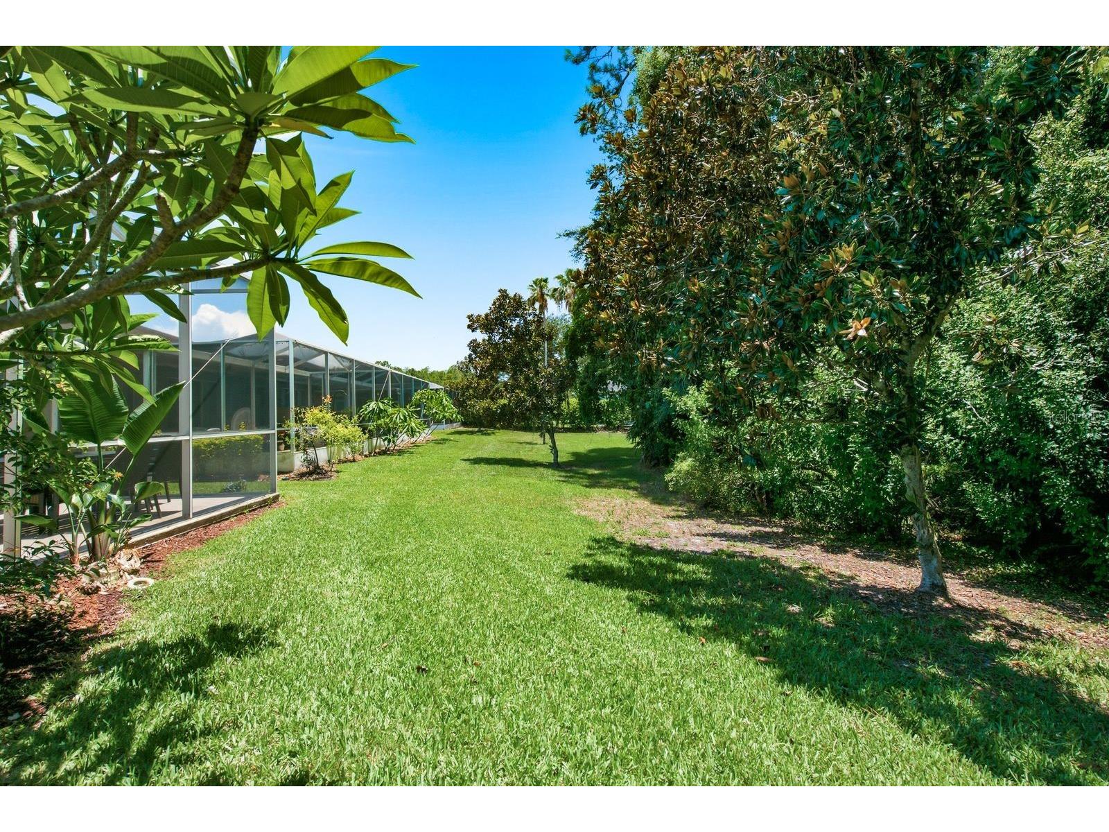 9811 Gingerwood Drive Tampa FL 33626 TB8516879 image36