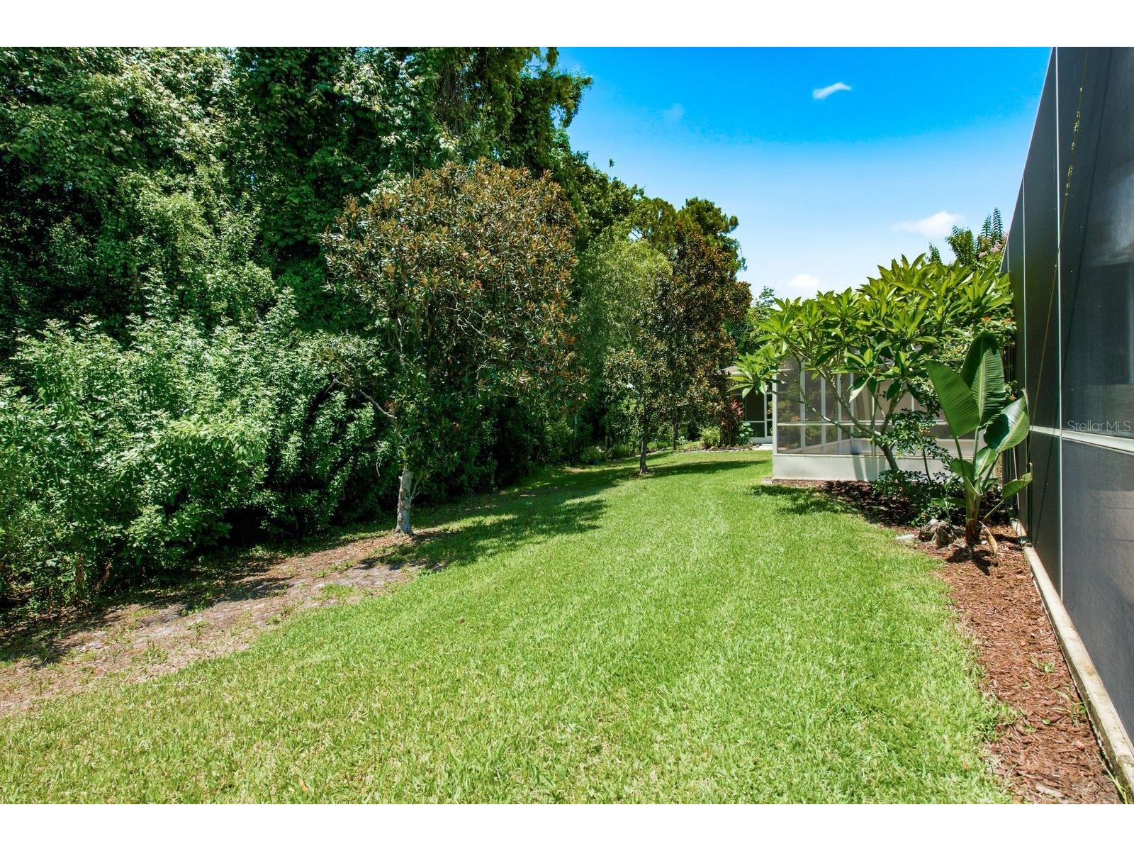 9811 Gingerwood Drive Tampa FL 33626 TB8516879 image37