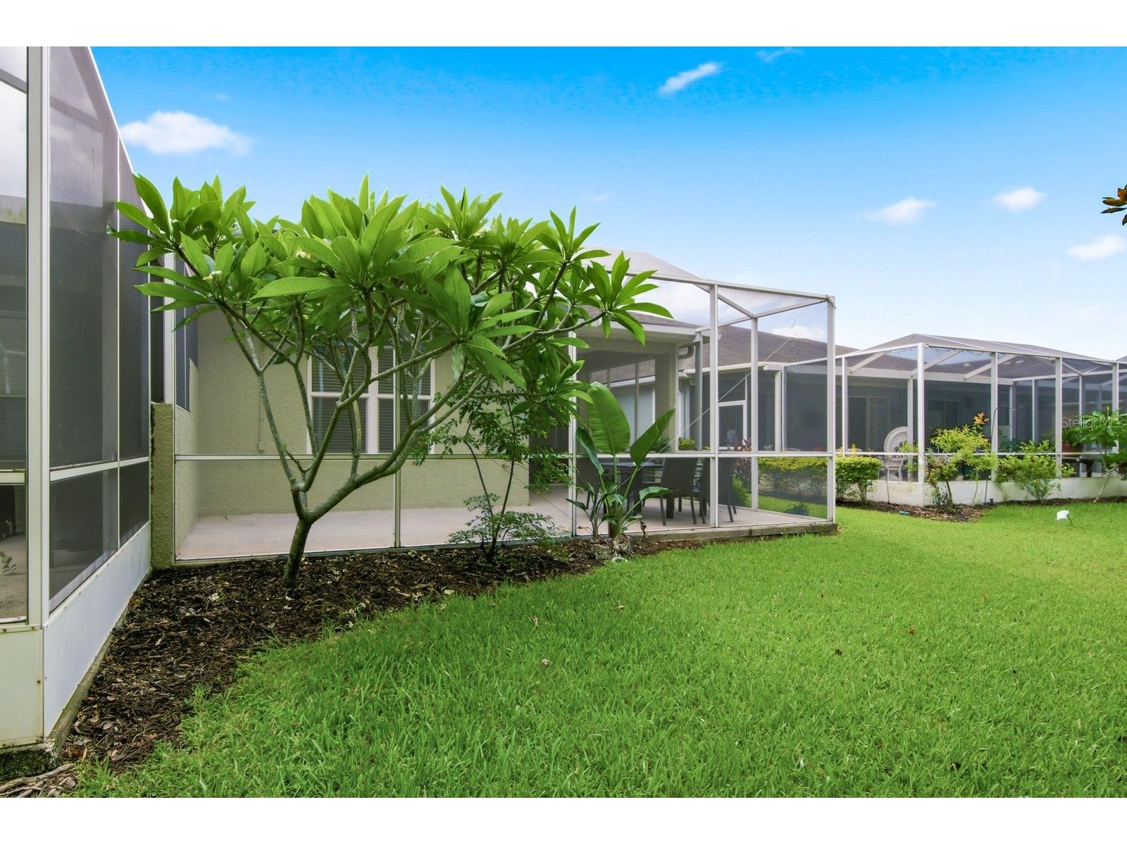9811 Gingerwood Drive Tampa FL 33626 TB8516879 image39