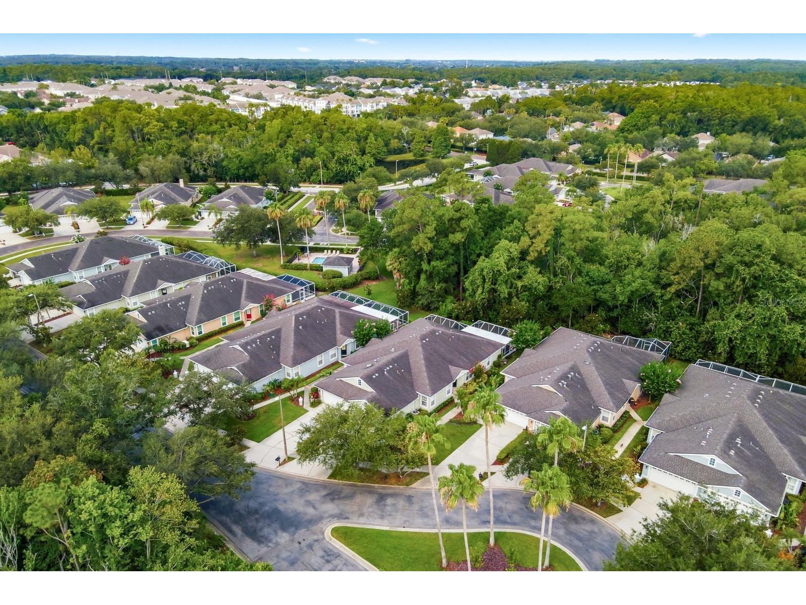 9811 Gingerwood Drive Tampa FL 33626 TB8516879 image43