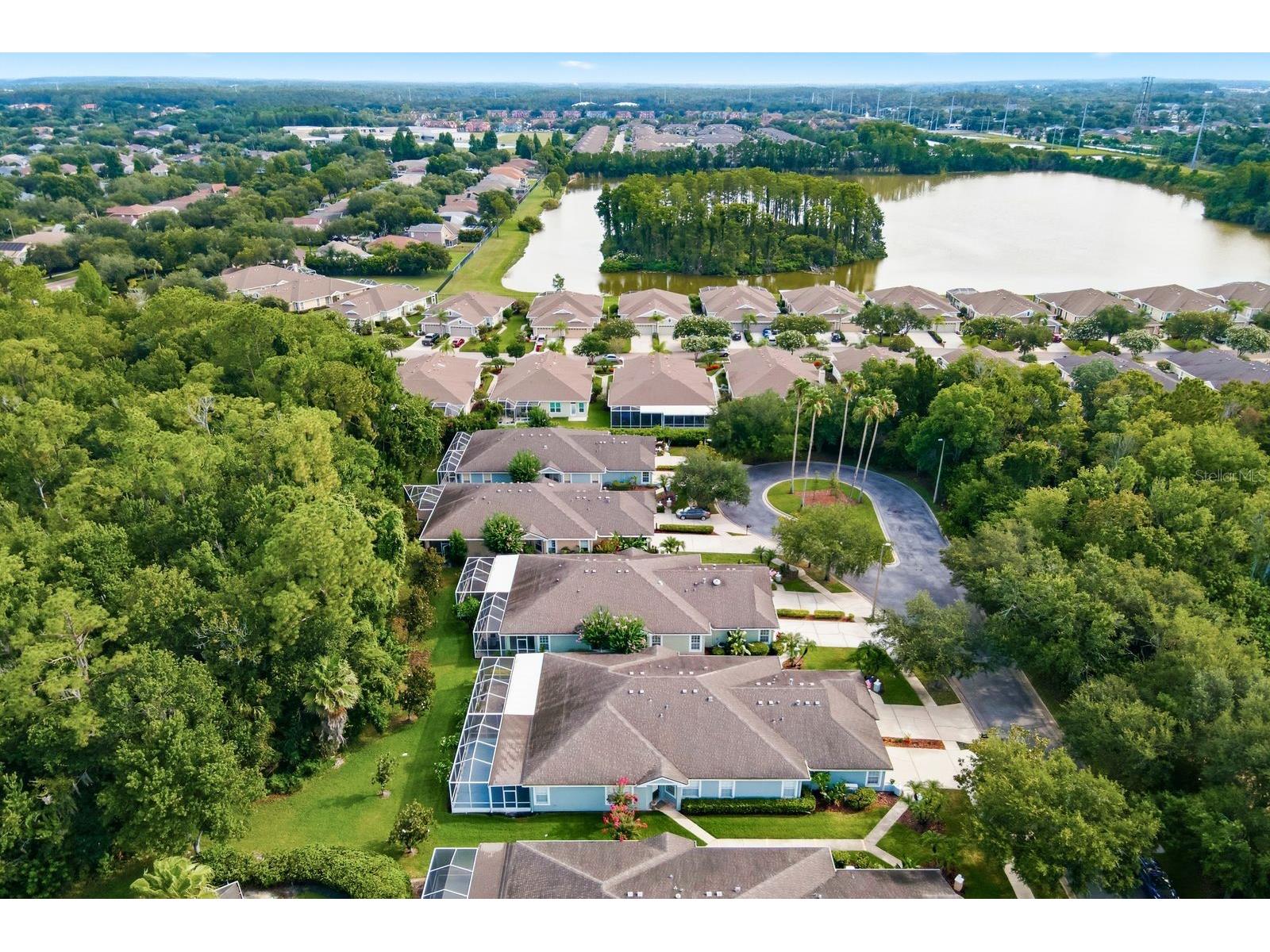 9811 Gingerwood Drive Tampa FL 33626 TB8516879 image46