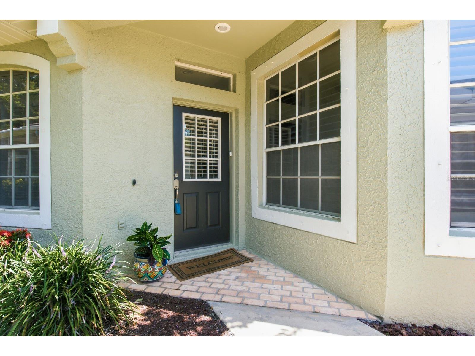 9811 Gingerwood Drive Tampa FL 33626 TB8516879 image6
