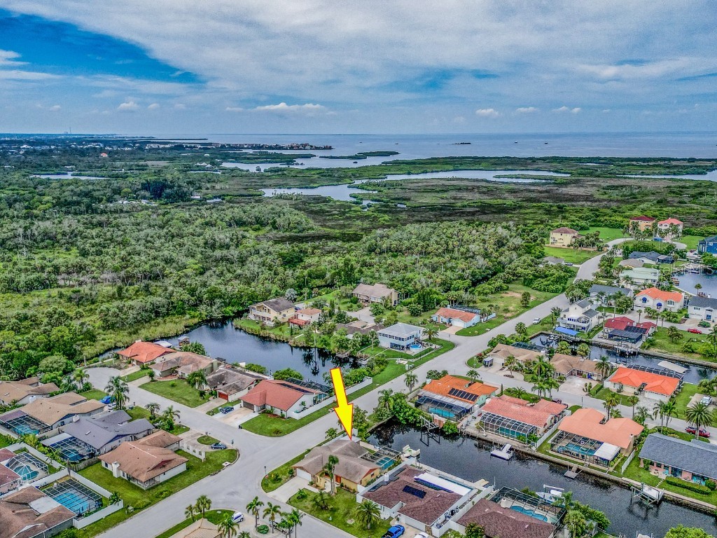 9811 San Mateo Way Port Richey FL 34668 TB8419981 image46