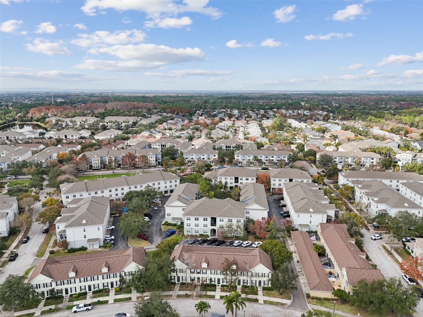 9811 W Park Village Drive Tampa FL 33626 TB8461576 image42