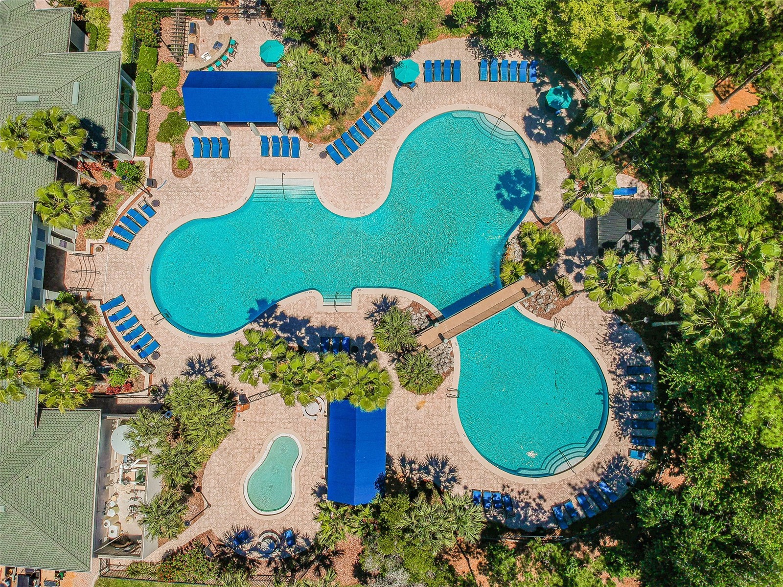 9811 W Park Village Drive Tampa FL 33626 TB8461576 image47