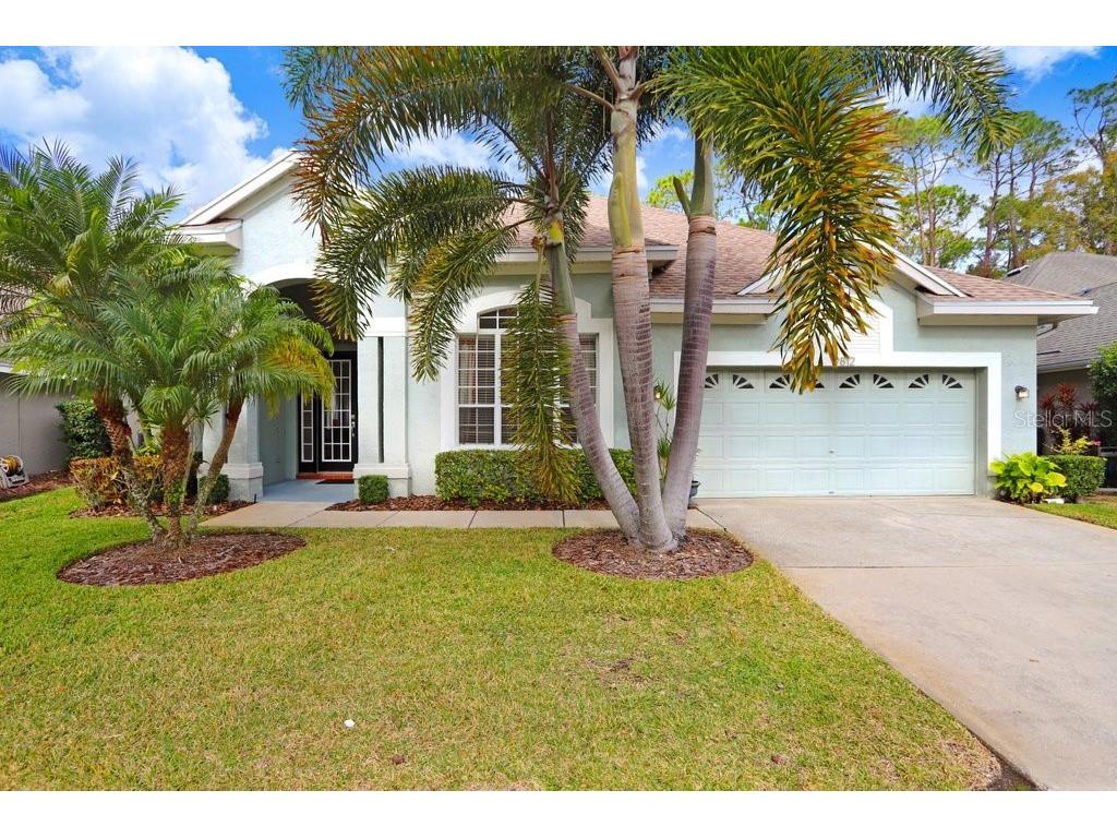 9812 Gretna Green Drive Tampa FL 33626 TB8344807 image1